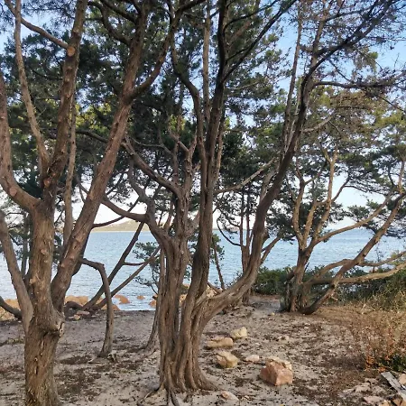 Maison d'hôtes Wonderland *