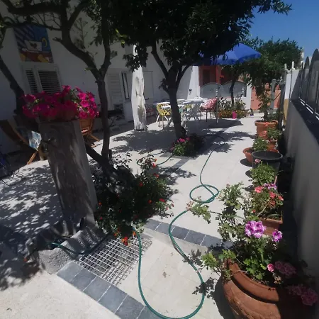 Wonderland Guest house