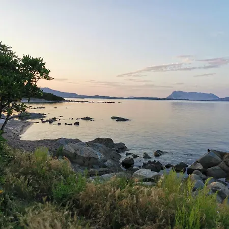 ゲストハウス Wonderland