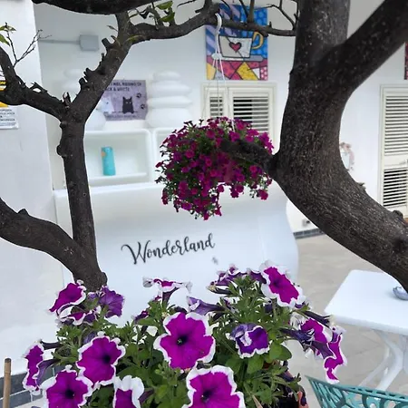 Guest house Wonderland San Teodoro (Sardinia)