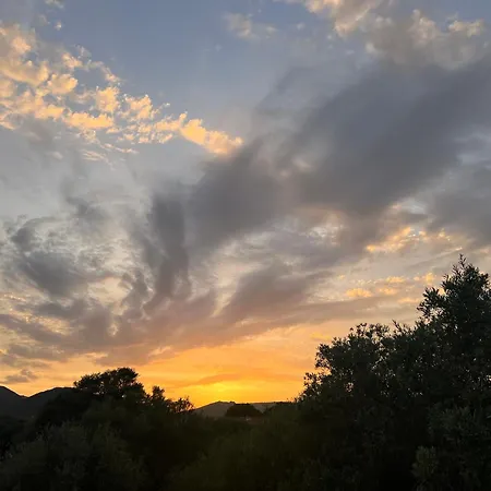 Wonderland Gasthuis *