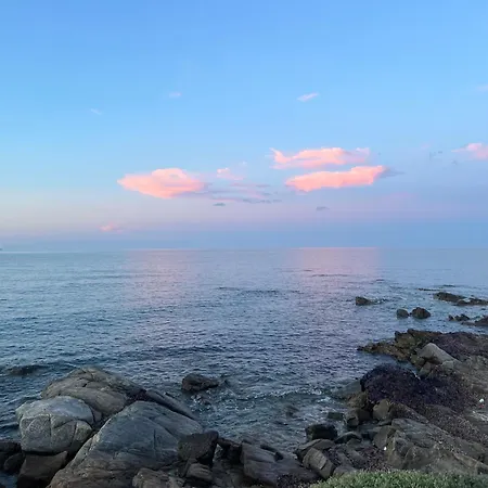 ゲストハウス Wonderland *