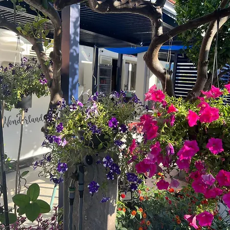 Pensjonat Wonderland *