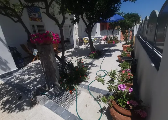 Wonderland Pensjonat