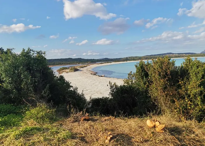 Wonderland Pensjonat San Teodoro (Sardinia)