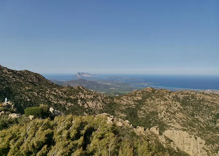 Pensjonat Wonderland *