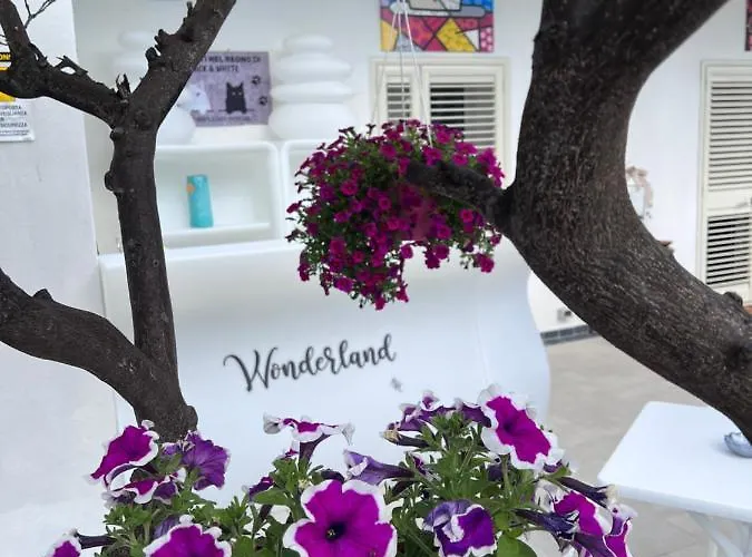 Pensjonat Wonderland San Teodoro (Sardinia)