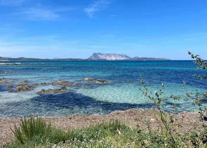 Wonderland Pensjonat