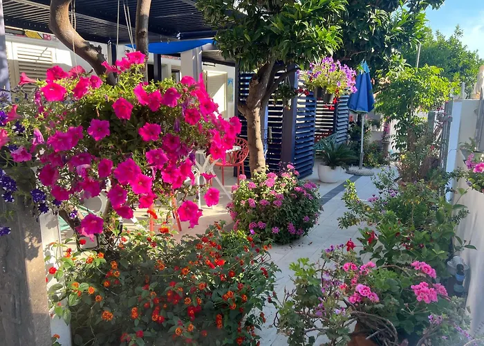 Wonderland Pensjonat San Teodoro (Sardinia)