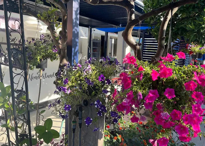 Pensjonat Wonderland *