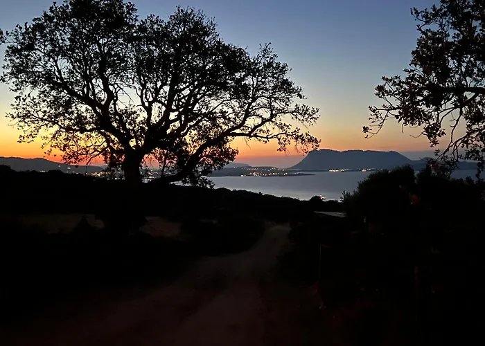 Pensjonat Wonderland *